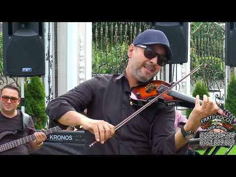 Fratii Cocos   Viorile Gemene   Instrumentala anului  2023