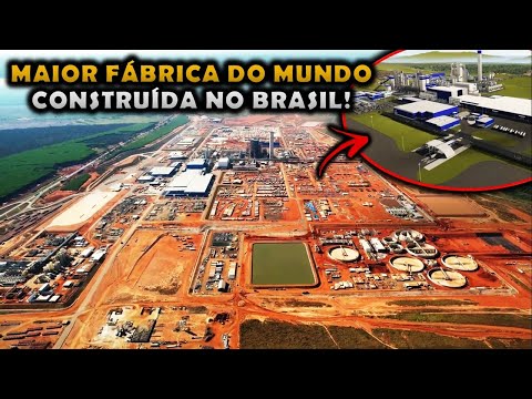 A MAIOR FÁBRICA DE CELULOSE DO MUNDO CONTRUÍDA NO BRASIL - MAIOR FÁBRICA DE PAPEL DO MUNDO!