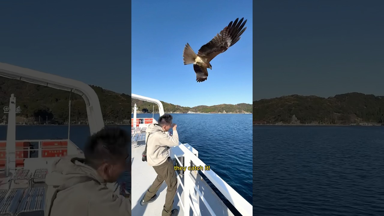 YouTube Short thumbnail