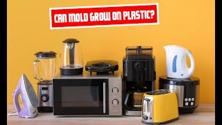 Exploring the Possibility of Mold Growth on Plastic