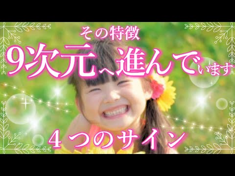 九次元