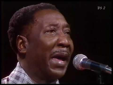 Muddy Waters - Got My Mojo Working