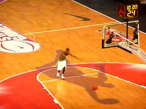 dunk Just Fly ASG 08