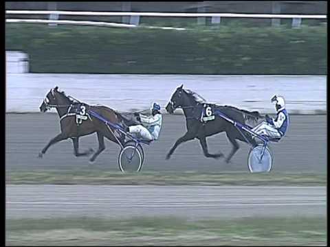 Trotto 13/01/2017 - 1ª corsa