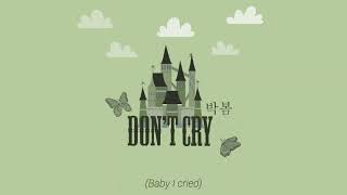 [Vietsub] DON&#39;T CRY - PARK BOM/ DON&#39;T CRY - 박봄