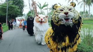 Download lagu Kirab Can Macanan Balakek Hamdians 🦁 ful penonton mp3