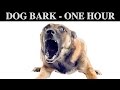 Sound Effects Of Dog Barking | ONE HOUR | BARK | GROWLING | CRY | PUPPY | WHINING | HQ
