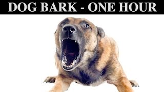 Sound Effects Of Dog Barking  ONE HOUR  BARK  GROW