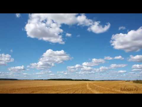 Timelapse - Облака летят по синему небу над полем