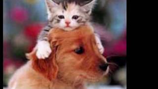 ALEJANDRO FERNÁNDEZ  ERES