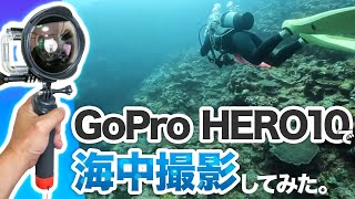 GoPro HERO10 Black 海中ダイビング撮影サンプル動画
