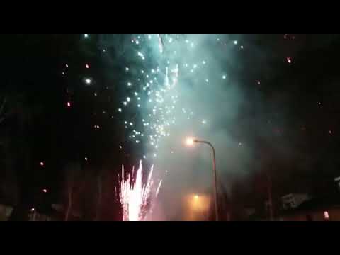 APF 4058 182SH FAN SHAPE GREEN GLITTERING WITH VERY LOUD WHISTLING CE CATEGORY F4 opnamen ferry turk