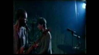 The Fleshtones - Shadowline