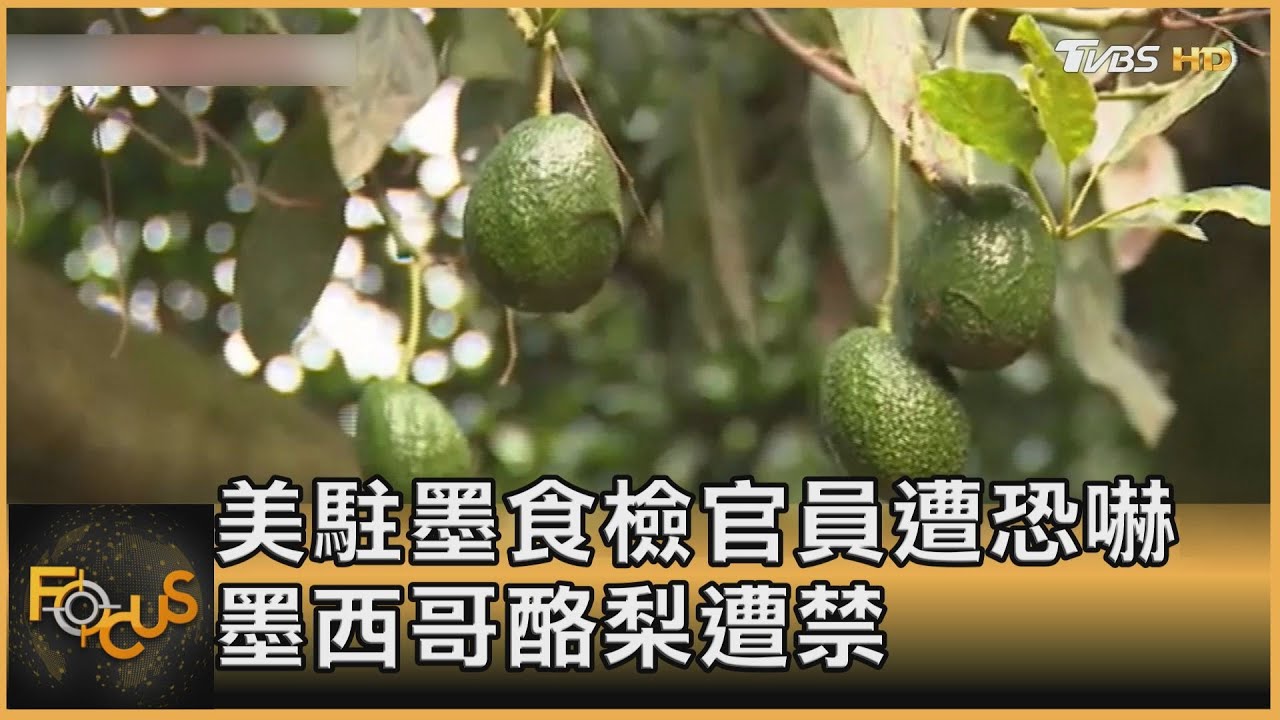 美駐墨食檢官員遭恐嚇 波及墨國酪梨遭禁