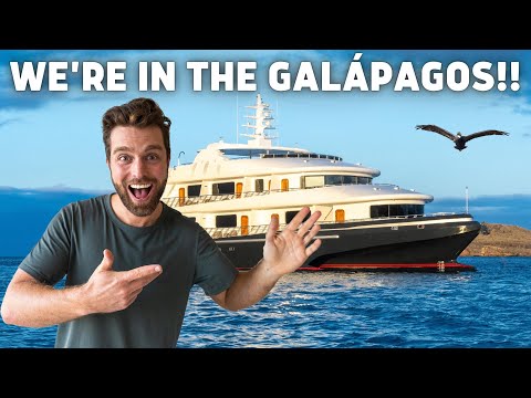 Cruise video 3