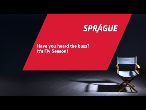 Have you heard the buzz? It's Fly Season!