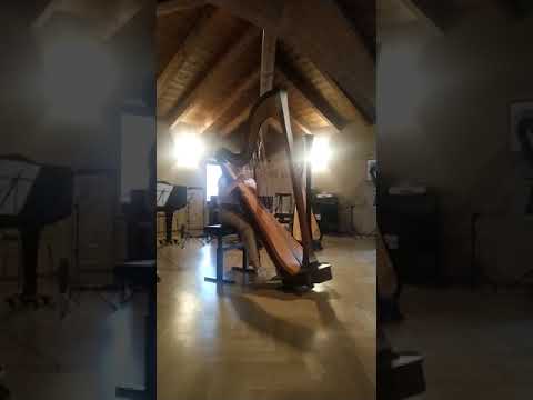 Elisa Perego- Etude de Concert, F. Godefroid