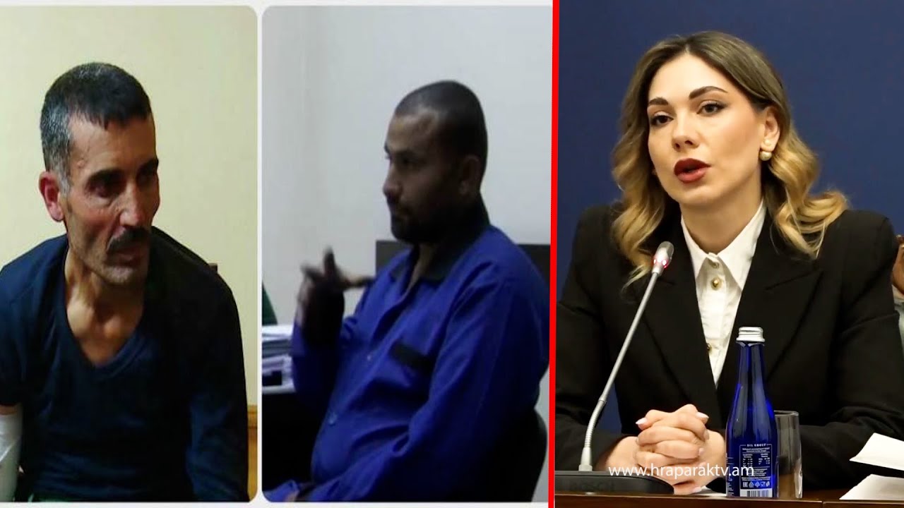 Սրբուհի Գալյանը` սիրիացի վարձկաններին Թուրքիայի միջոցով հանձնելու մասին