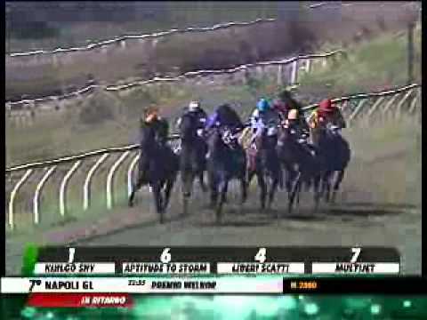 19/07/2014, Napoli , Premio Welnor