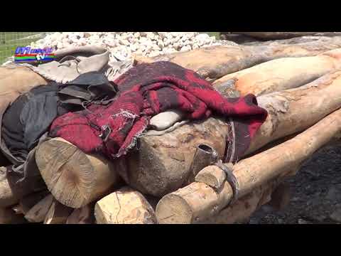 Jurnal MUSCEL TV 04 11 2020 Controale la firme de exploatare și la depozitele pentru lemne