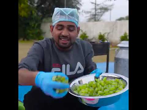 we made world's biggest organic icecream 100% healthy ice || Social.creator. Ak47 & music && songs