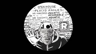 Open House Featuring Placid Angles - Aquatic (Carl Craig's Save The World Mix)