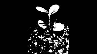 Masters of Reality - J. B. Witchdance