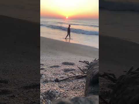 THE Sea View Mashallah❤️ #music #phonkmusic #audio #edm #song #rasalkhaimah #sea #sunset