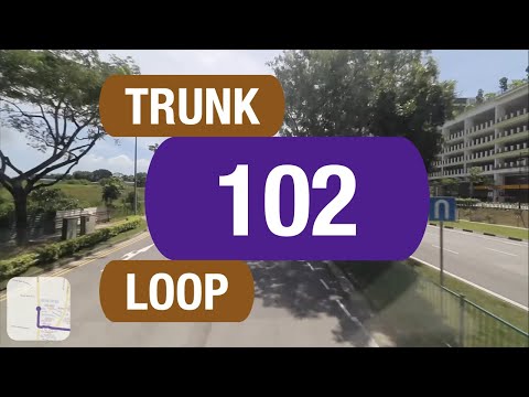SBS Transit Trunk 102 | Bus Service Route Visual