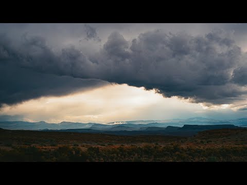 Tony Anderson - All Is Not Lost