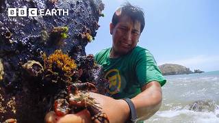 Dangerous Hunt for One of World's Rarest Seafood Treasures | Fishing Impossible | The Travel Edit