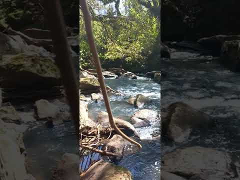 LONTRAS EM NOVA LURDES/ SÃO JOÃO PR