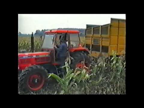 Loonw. Vervinckt - Evergem