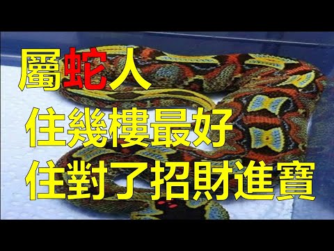 屬蛇適合的樓層