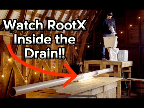 RootX in action - see what it actually does inside your drain!