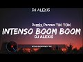 Intenso Boom Boom Tik Tok Oficial Remix DJ Alexis