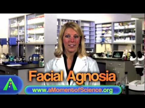 Facial Agnosia | A Moment of Science | PBS