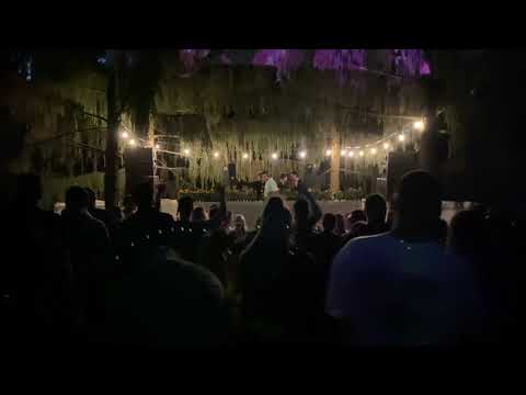 Hrisq @Zebra Showcase - Forest Night