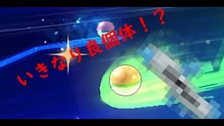 【ゆっくり実況】不定期にミラクル交換其の1