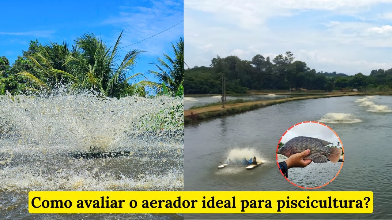 FISH FARMING 497: How to evaluate the ideal aerator for fish farming?