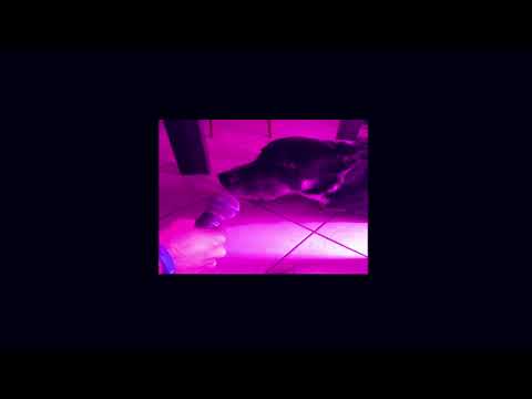 Αντίδοτο x 3πδ - 7 π.μ.