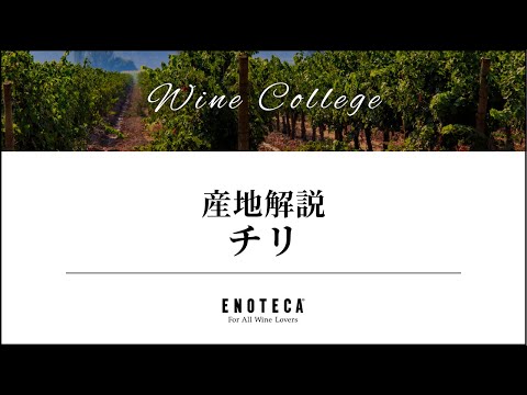 ピネートについて詳しく解説