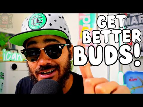 BEST 5 TIPS FOR FLOWERING STAGE!