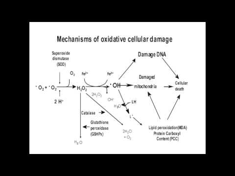 Free Radical Injury - Define, Causes & Pathologies