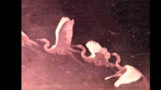 WYMOND MILES - Run Like The Hunted [album "Under The Pale Moon", 2012]