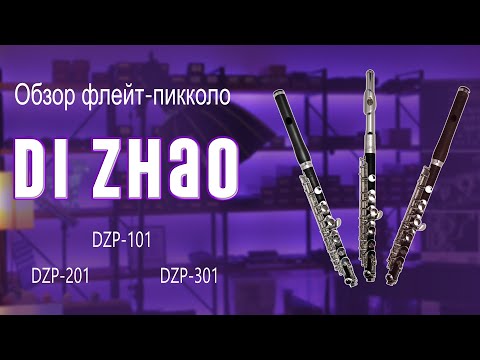 ОБЗОР ФЛЕЙТ-ПИККОЛО DI ZHAO  (DZP 101, DZP 201, DZP 301)