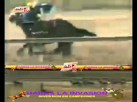 valencia 10 carrera viernes 06 de febrero del 2015