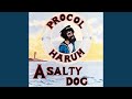 A Salty Dog