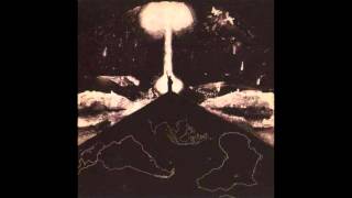 art bears democracy (the world as it is today)