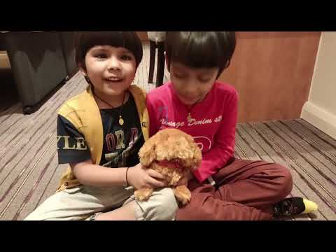 Shree & Ashita having a new electronic Pet DOG|new Pet Dog|playing with pet dog|new pet Dog|#dog #uk